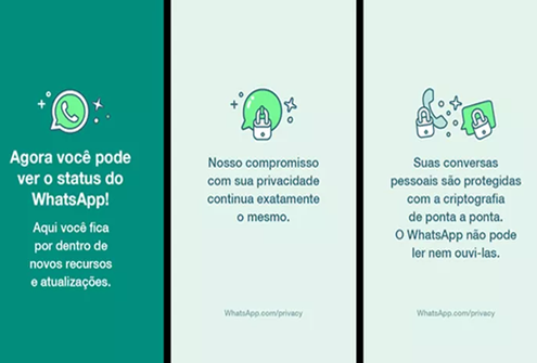 WhatsApp: O que acontece se você não aceitar novos termos?